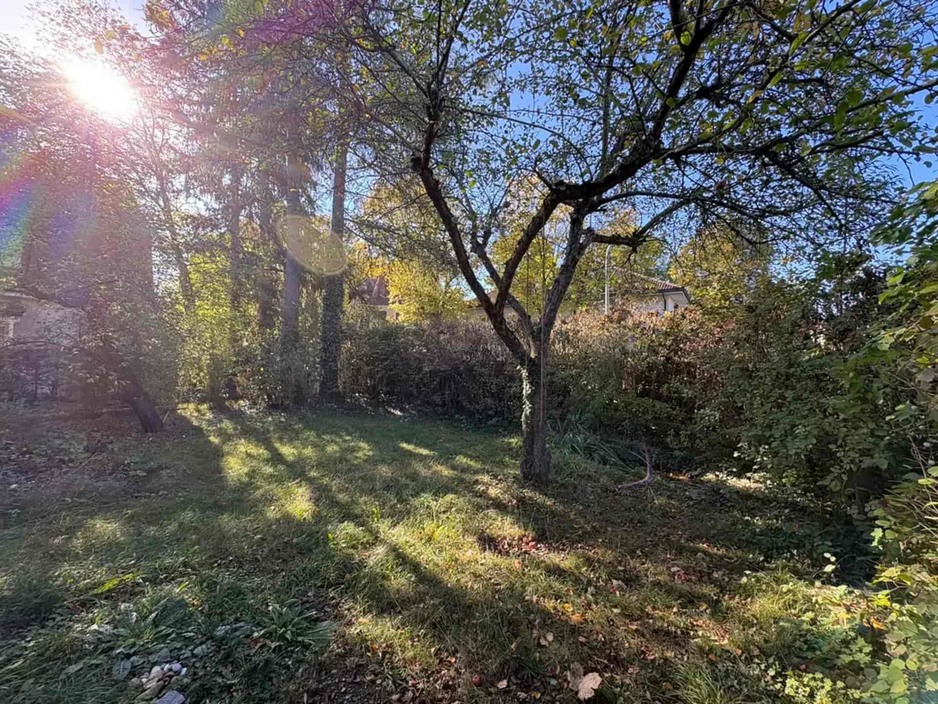 Traumhaftes Baugrundstück in ruhiger Bestlage der Pasinger Waldkolonie, nahe dem Stadtpark - Christian Scharl Immobilienmanagement